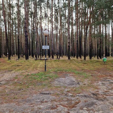 Lesny Zakatek Nr 2 Apartment Radzyn Luaran gambar