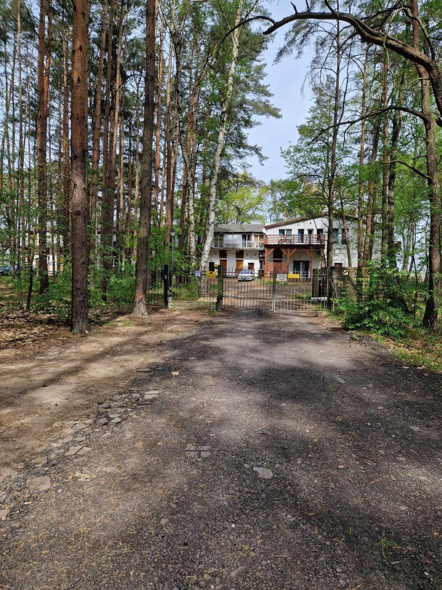 Lesny Zakatek Nr 2 Apartment Radzyn Luaran gambar